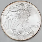 2007 American Silver Eagle 1 oz .999 Fine Bullion Coin Numismatic Collectible
