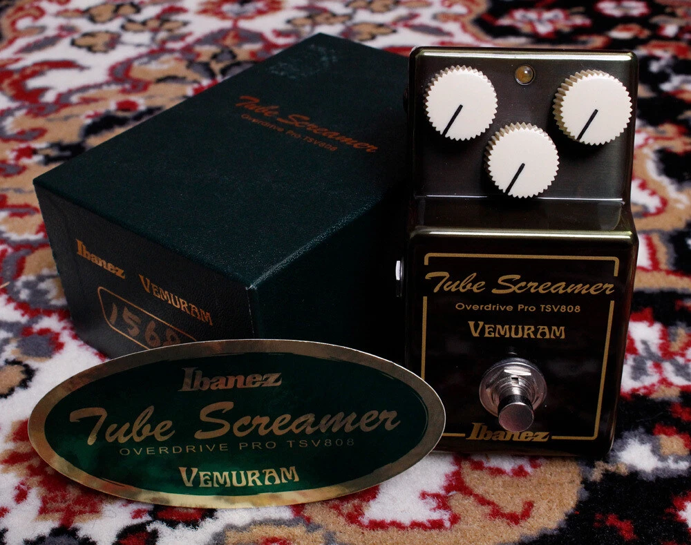 Ibanez tsv808 2024
