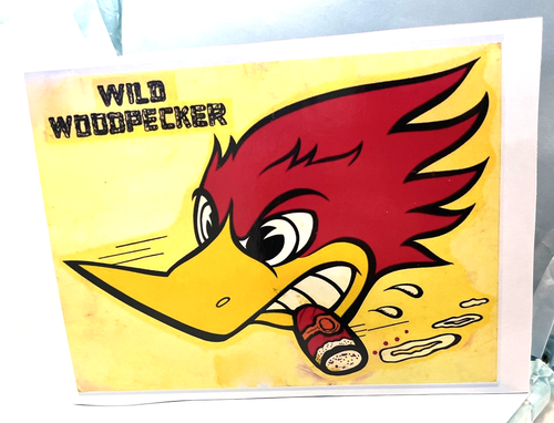"Custom Made" Hot Wheels Honda Civic EF, VTEC Wild Woodpecker real riders - Picture 2 of 14
