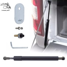Tailgate Assist Lift Support Shock Struts Fit For 2004-2014 Ford F-150 Dz43200 Tailgate Assist Lift Support Shock Struts Fit For 2004-2014 Ford F-150 Dz43200