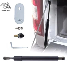 Tailgate Assist Lift Support Shock Struts Fit For 2004-2014 Ford F-150 DZ43200