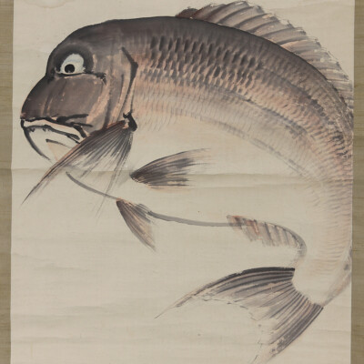 絵画 flk046245 JAPANESE PAINTING HANGER SCROLL JAPAN Red Snapper Antique Zeshin