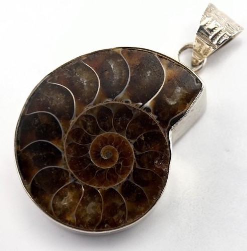 Ammolite Fossil Sterling Silver Pendant