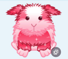 Webkinz Rosy Satin Guinea Pig PROMO pink red cavy hamster rodentVirtual code msg