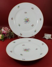 R Johann Haviland Bavaria - 2 St. Speiseteller Ø 25 cm. Dekor: Blumen, Godrand
