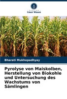 Bharati Mukhopadhyay | Pyrolyse Von Maiskolben, Herstellung Von Biokohle Und...