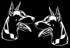 Two 6" Dobermann Doberman Pinscher White Vinyl Decal Car Window Laptop Notebook