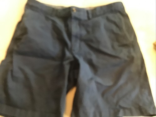 Lakewashed Stretch Shorts, Standard Fit 