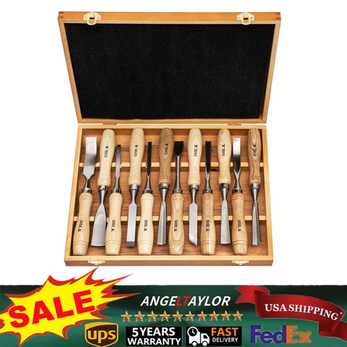 12 Piece Professional Wood Carving Hand Chisel Tool Set Woodworking ...