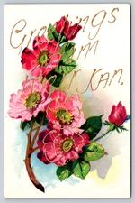 Postcard  Greetings from Weir Kansas