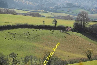 Foto A2 West Somerset: Grassy Hillside Cowbridge \/SS9542 Blick durch c2016