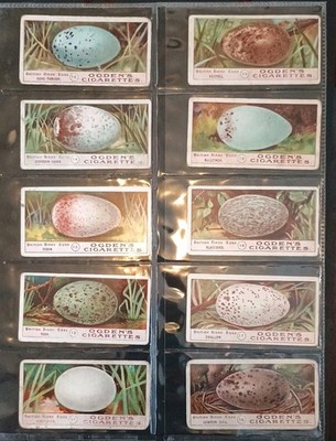 Ogdens BIRDS EGGS 1908 Set Of 50 *Fair/Good Condition*