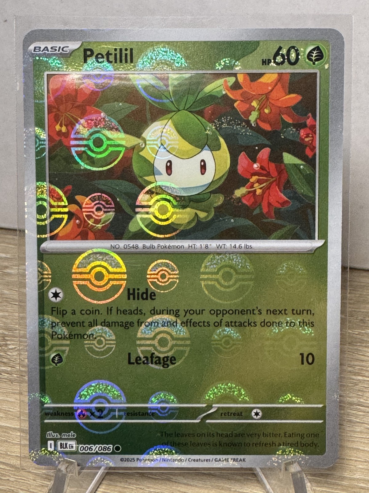 Pokémon TCG Petilil (Poke Ball Pattern) 006/086 SV: Black Bolt Holo NM
