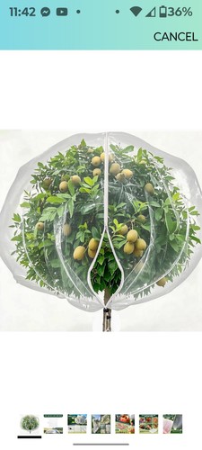 Large 12 x 12ft Fruit Tree Netting Bags with Zipper Drawstring Bird Insect Box E