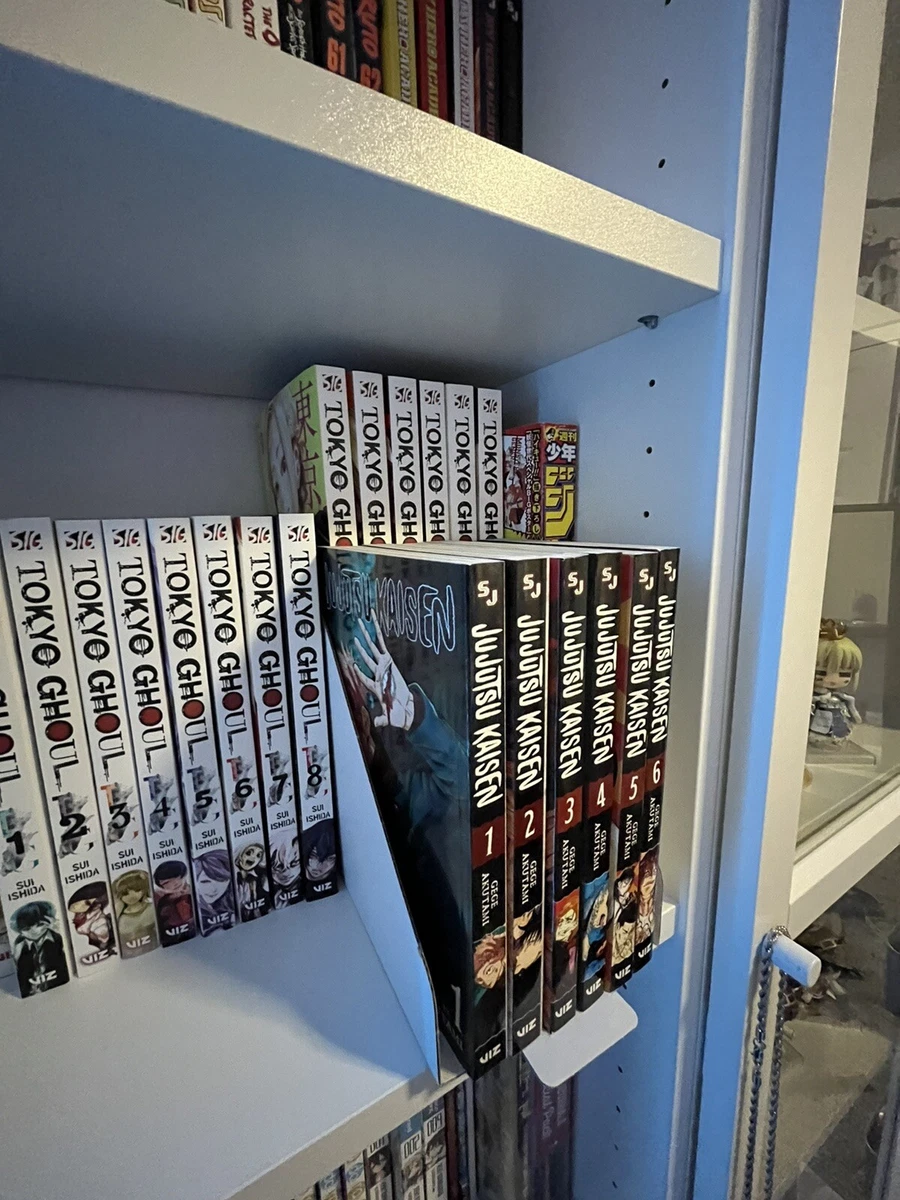 Manga bookcase 2024