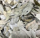 Foto 1 di 2
