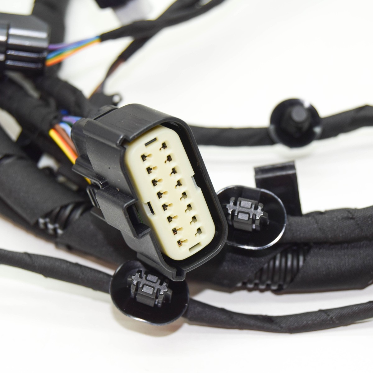 ブルドッグ 0206 ブルドッグ 0206 ブルドッグ 0206 BIG DOG