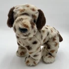 Vintage Ty Beanie Buddy Bo the Dalmatian 2003 9” Brown Spots Black Eyes