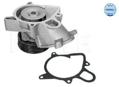 Meyle Ersatzmotor Kühlung Kühlmittel Wasserpumpe 313 011 2500
