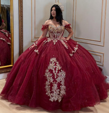 Red Quinceanera Dresses Sweet 15 16 Girl Vestidos De XV A os Prom Ball Gowns