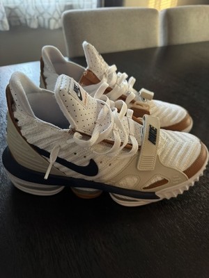 Nike Lebron XVI 16 Air Trainer Medicine Ball Bron Know Mens Sz 7.5