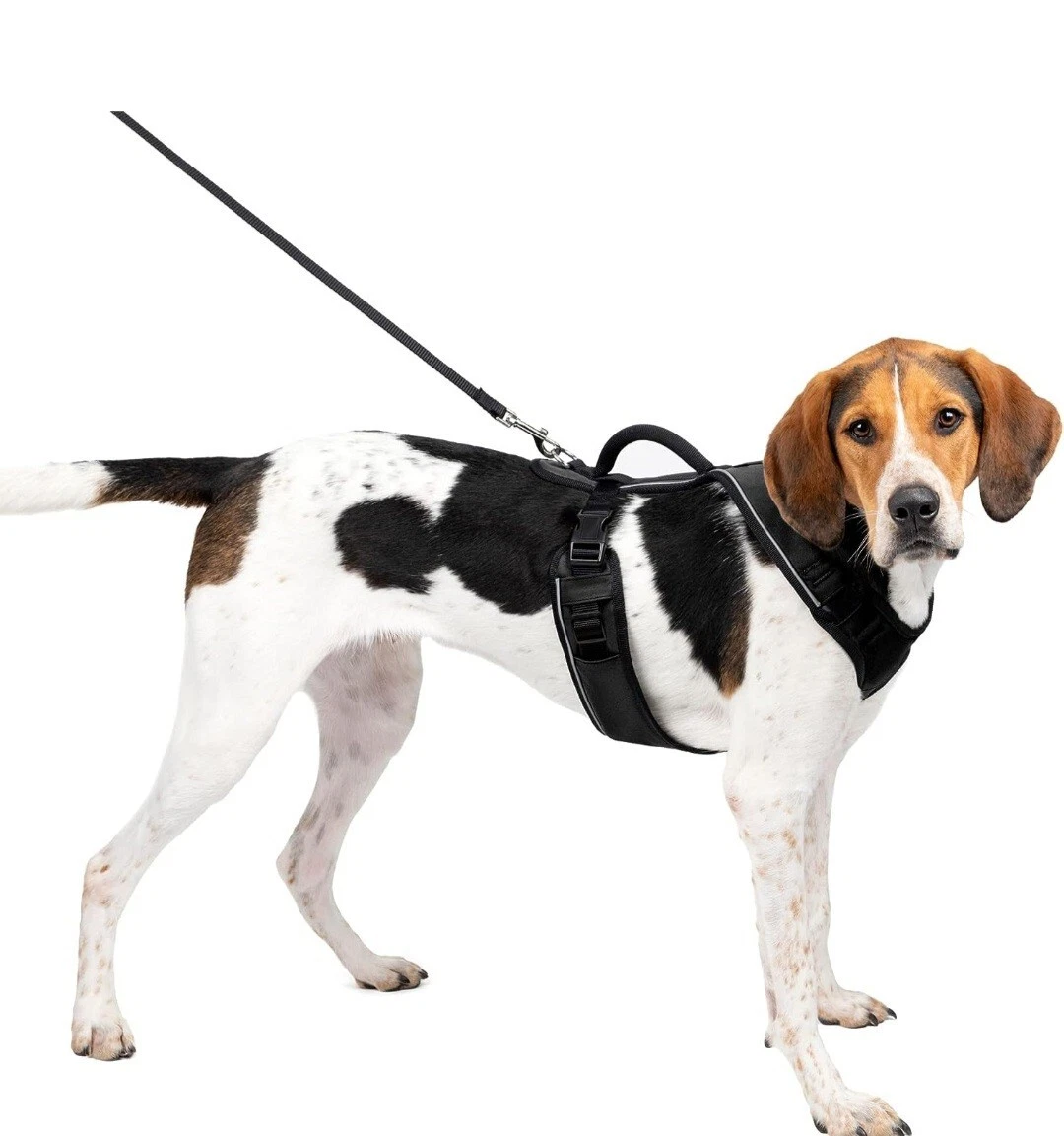 Easy on top harness for dogs