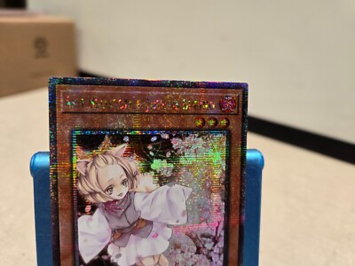Ash Blossom & Joyous Spring Quarter Century Rare (QCR) - RA01
