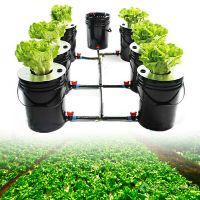Deep Water Culture Hydroponic DWC SYSTEM 5 Gallon 7 BUCKET KIT DWC