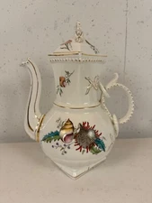 Antique Staffordshire Sampson Bridgwood & Son Nautical Shell Theme Teapot Coffee