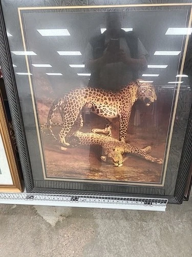 Vintage Cedar Creek Collection – Agasse “Leopards Playing” Large Framed Art Prin - product listing photo
