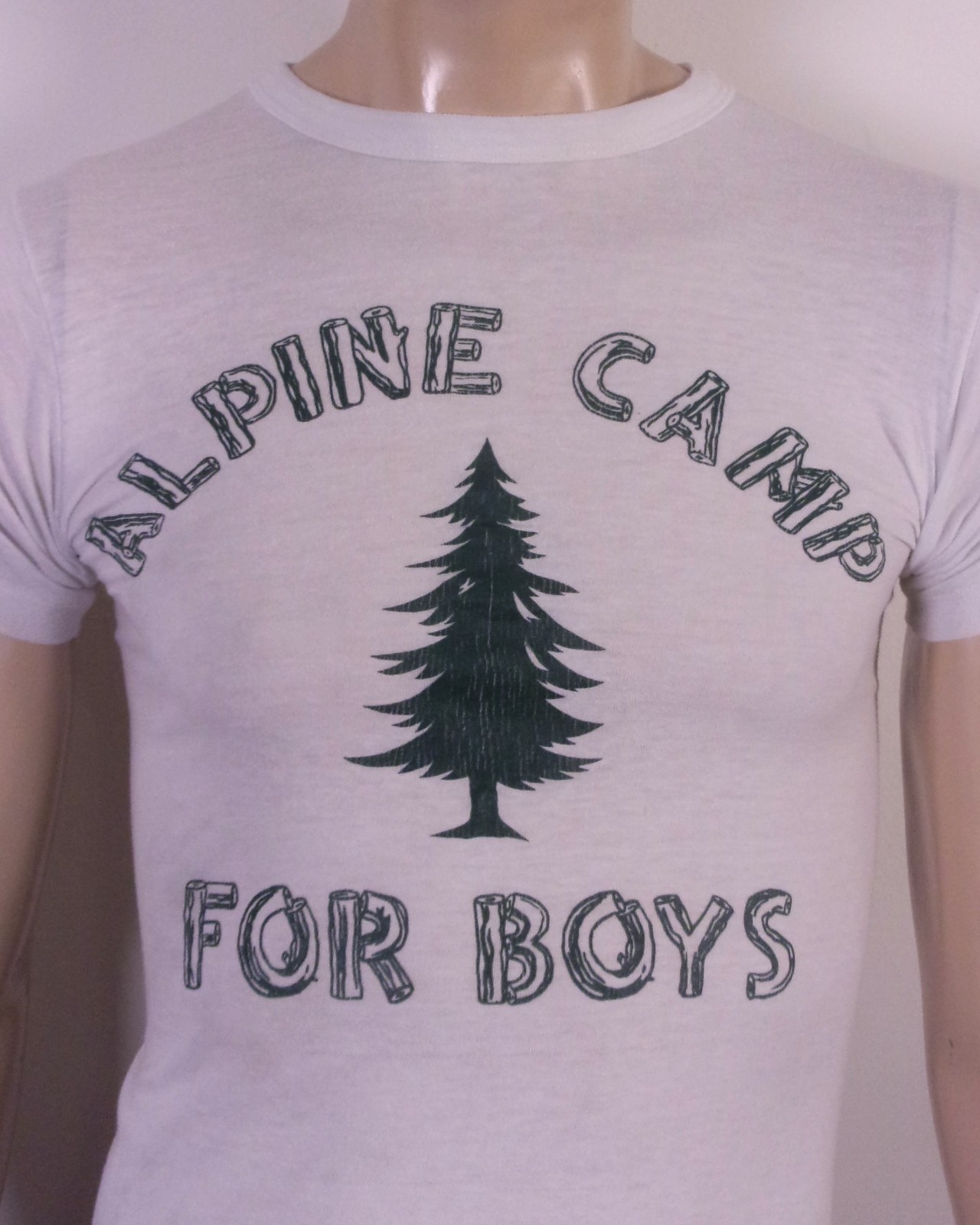 vintage 80s Champion Alpine Camp for Boys T-Shirt USA single stitch Thin SZ S