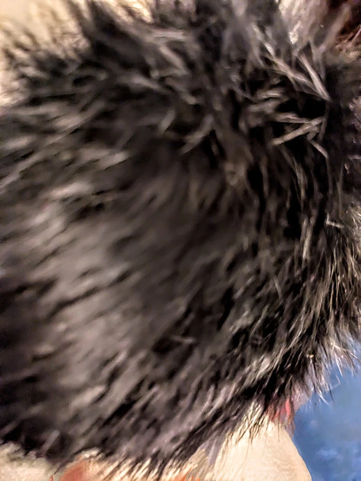 Genuine Rabbit Fur Earmuffs Black  Velvet Headband  Women's  - Image 4 of 4