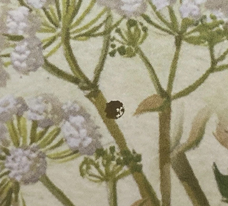 2011-2012 Ucrania Mi BL089, 104 Set 3 Bloques Ranas Anfibios Fauna Variedad Foto 2 de 3