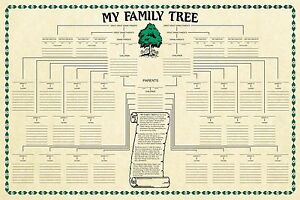 Family Tree Chart Genealogy