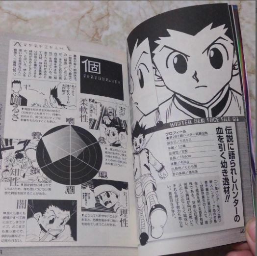 Hunter x Hunter - Hunter's Guide - momozaru