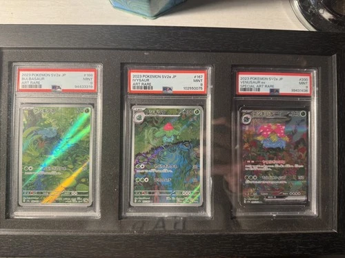 Pokémon TCG Japanese 151 Bulbasaur Ivysaur Venusaur PSA 9 full art framed