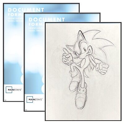 Sonic the Hedgehog 1991 Manga - RAWR! by PaperBandicoot on DeviantArt