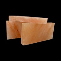 10 StüCk - Polierte Salzziegel 20 X 10 X 2,5 Cm