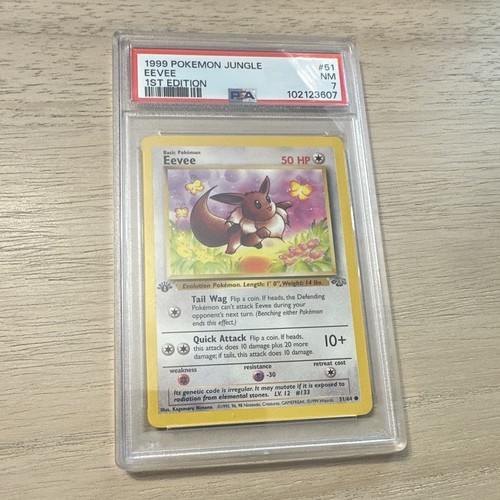 Eevee (1st Edition) graded PSA 7 for sale on eBay