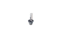 Bosch GlüHlampe Hauptscheinwerfer Xenon HID WS 1 987 302 903 35W FüR Renault BMW
