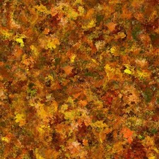 108" Extra Wide Quilt Backing By the yard Cotton Palette Patch 8 Gold, Rust