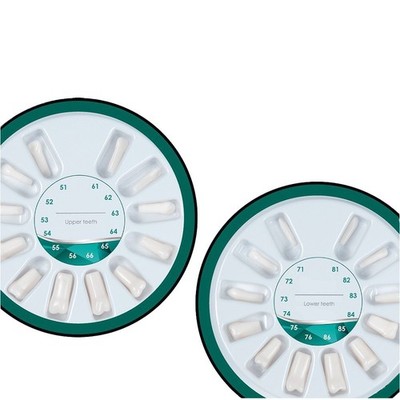 Pediatric Model Teeth Replacement Set  200P Fits Nissin 24 Teeth