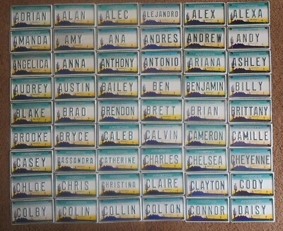 1980's Arizona Mini Bike Metal Pedal Car Name License Plate Sign Amy Anna Billy