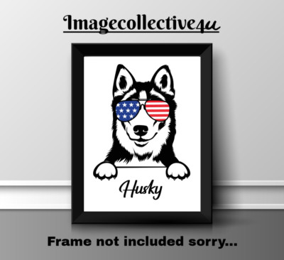 ALASKAN HUSKY HUND HAUSTIER A4 DRUCK BILD POSTER WANDBILD WOHNDEKO GESCHENK NEU
