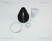 Faltenbalgsatz Antriebswelle Triscan 8540 25811 FüR Renault 19 Espace ScÉNic 1 3