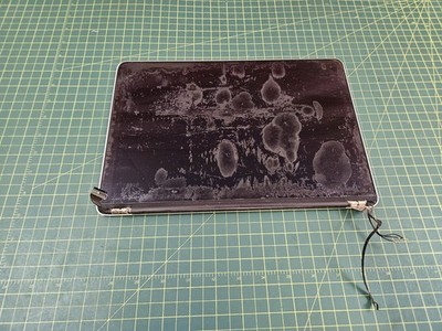 Apple MacBook Pro Retina 13'' A1502 2013 LCD Screen Complete Assembly #c405