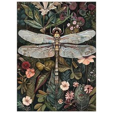 Paint by Numbers for Adult, Dragonfly Paint by Numbers Kit for Adults Beginners