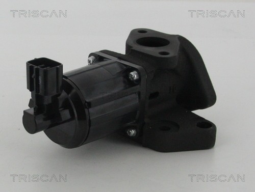 Triscan 8813 50007 Agr-Ventil FüR Mazda-image
