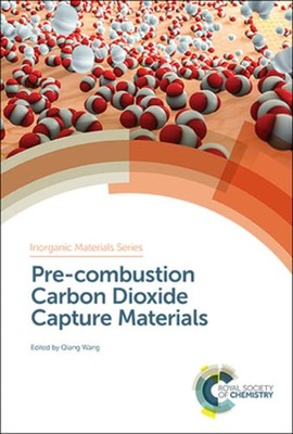 Pre-combustion Carbon Dioxide Capture Materials by Qiang Wang: New