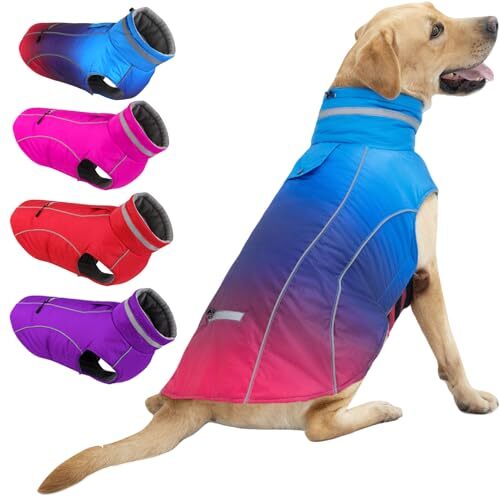 Dog Coats, Waterproof Dog Jacket with Pocket, Medium Gradient Blue